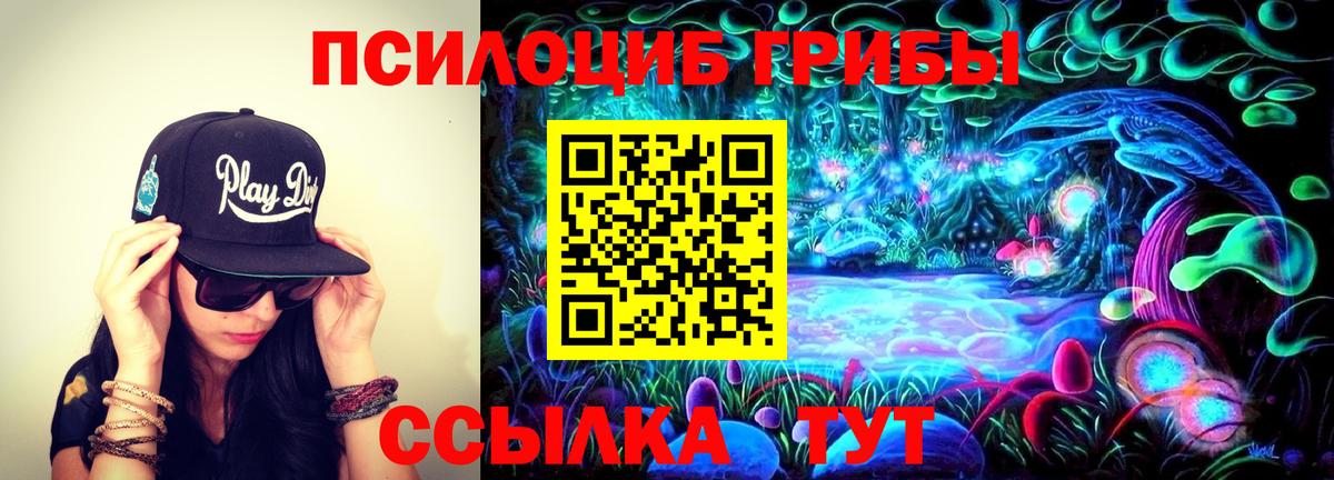 Галлюциногенные грибы GOLDEN TEACHER Кашира