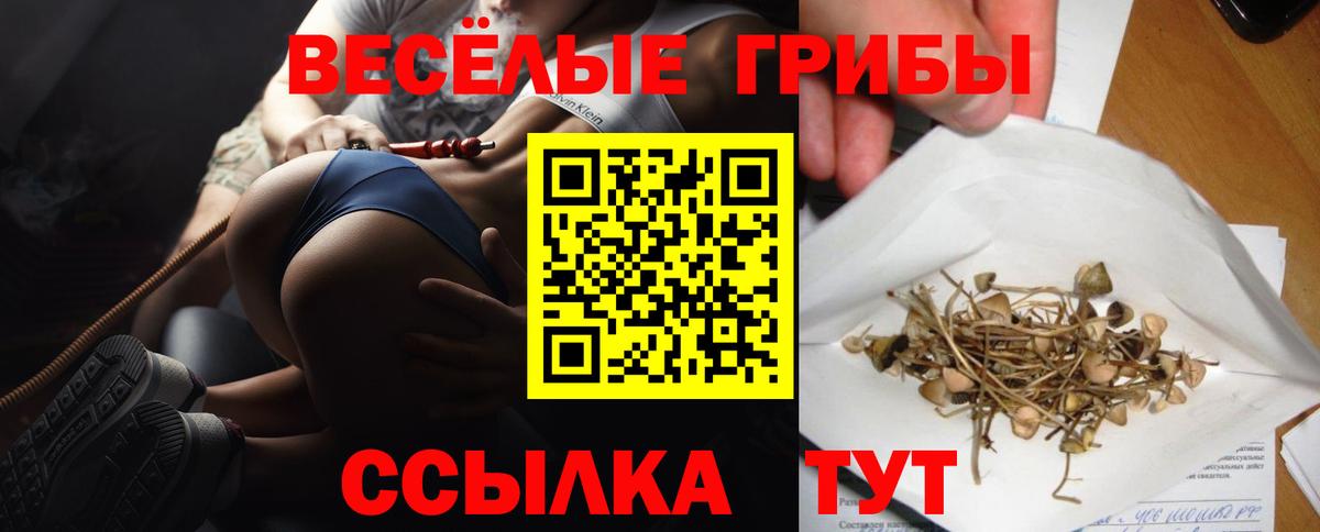 Кашира  Галлюциногенные грибы Magic Shrooms  Вход с VPN 